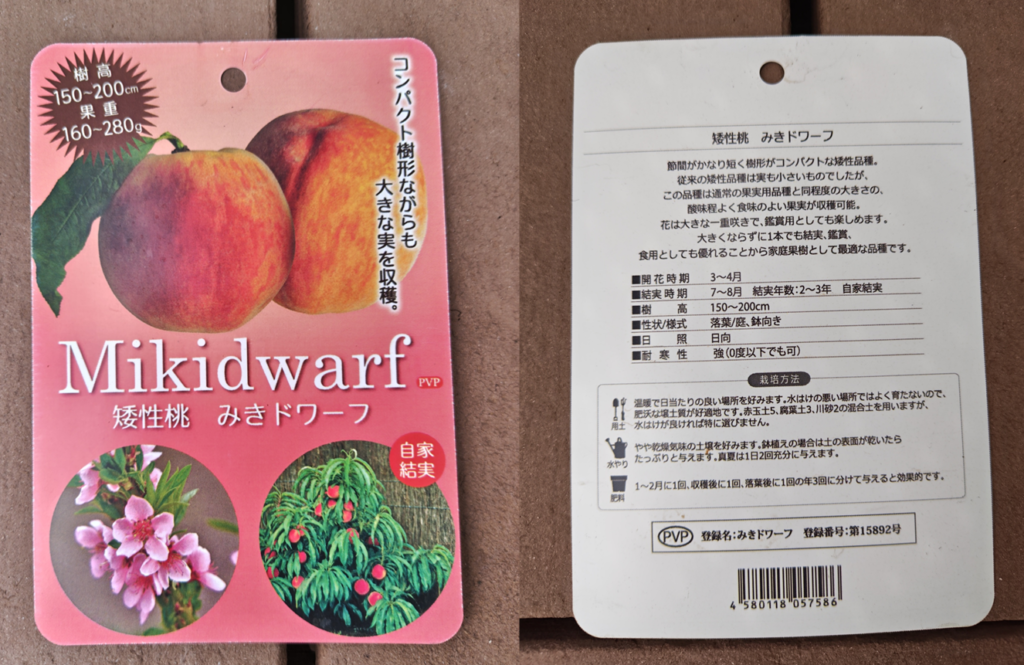 みきドワーフのタグ