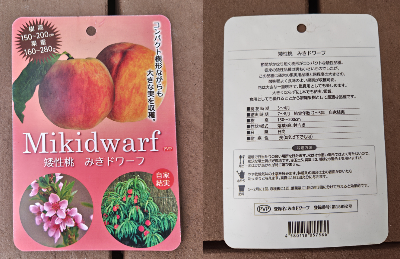 みきドワーフのタグ