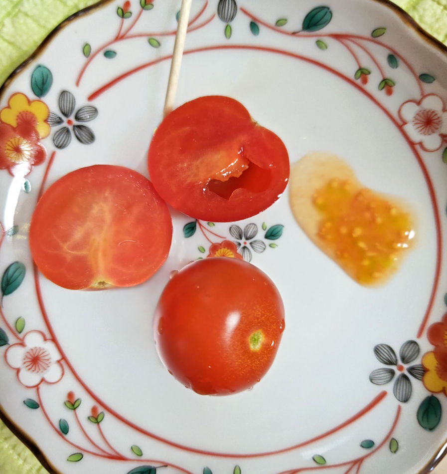 市販のミニトマトから種を取り出している様子