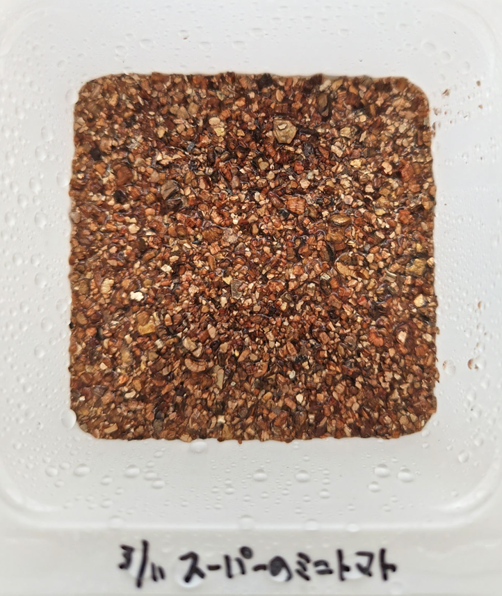 種の上にバーミキュライトをかけた様子