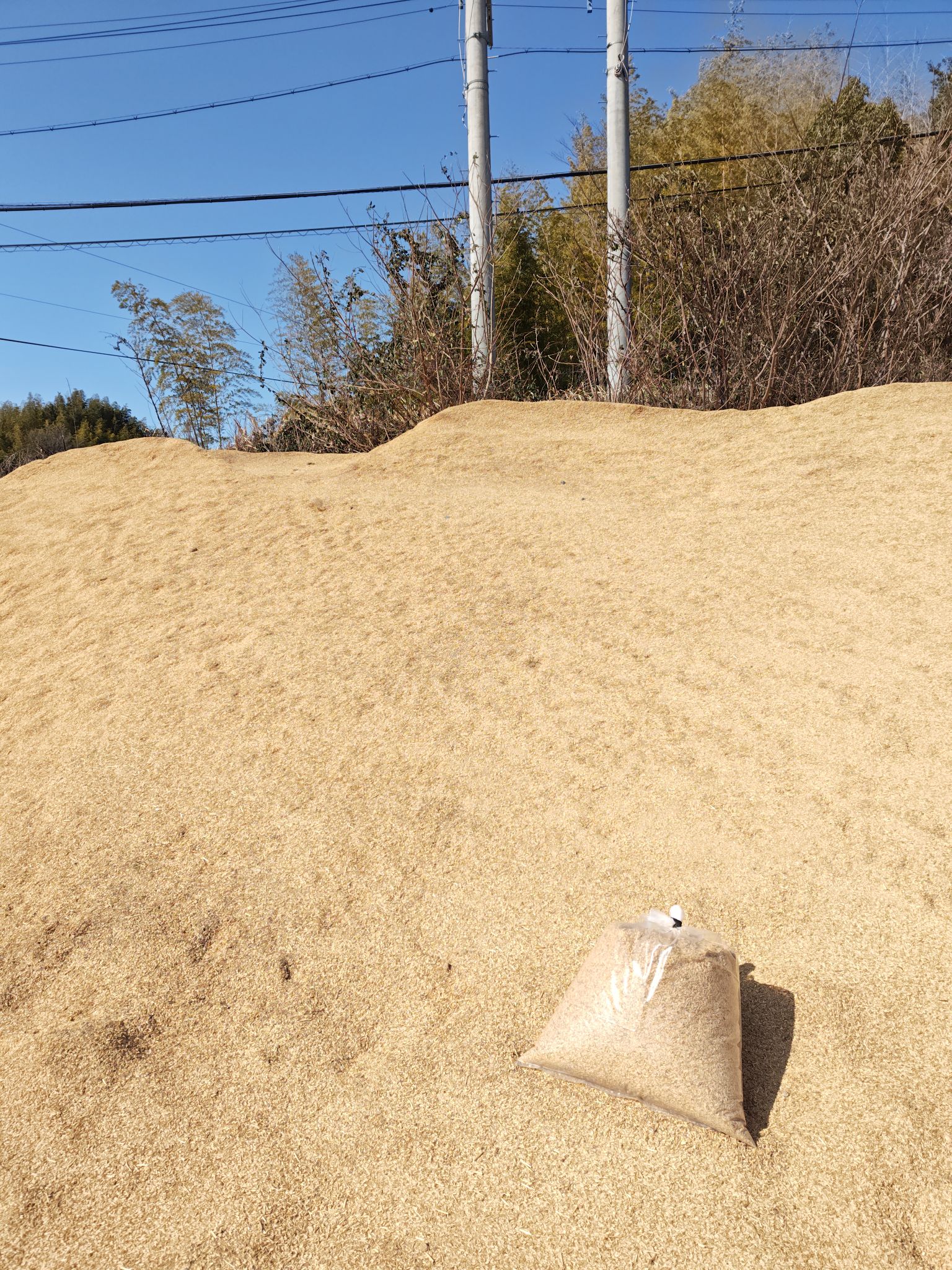 ライスセンターのもみ殻