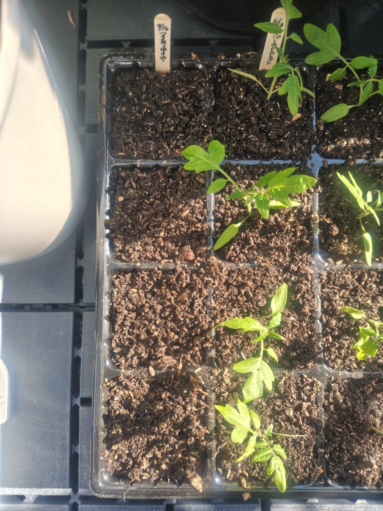 4/16 つるあり平さや