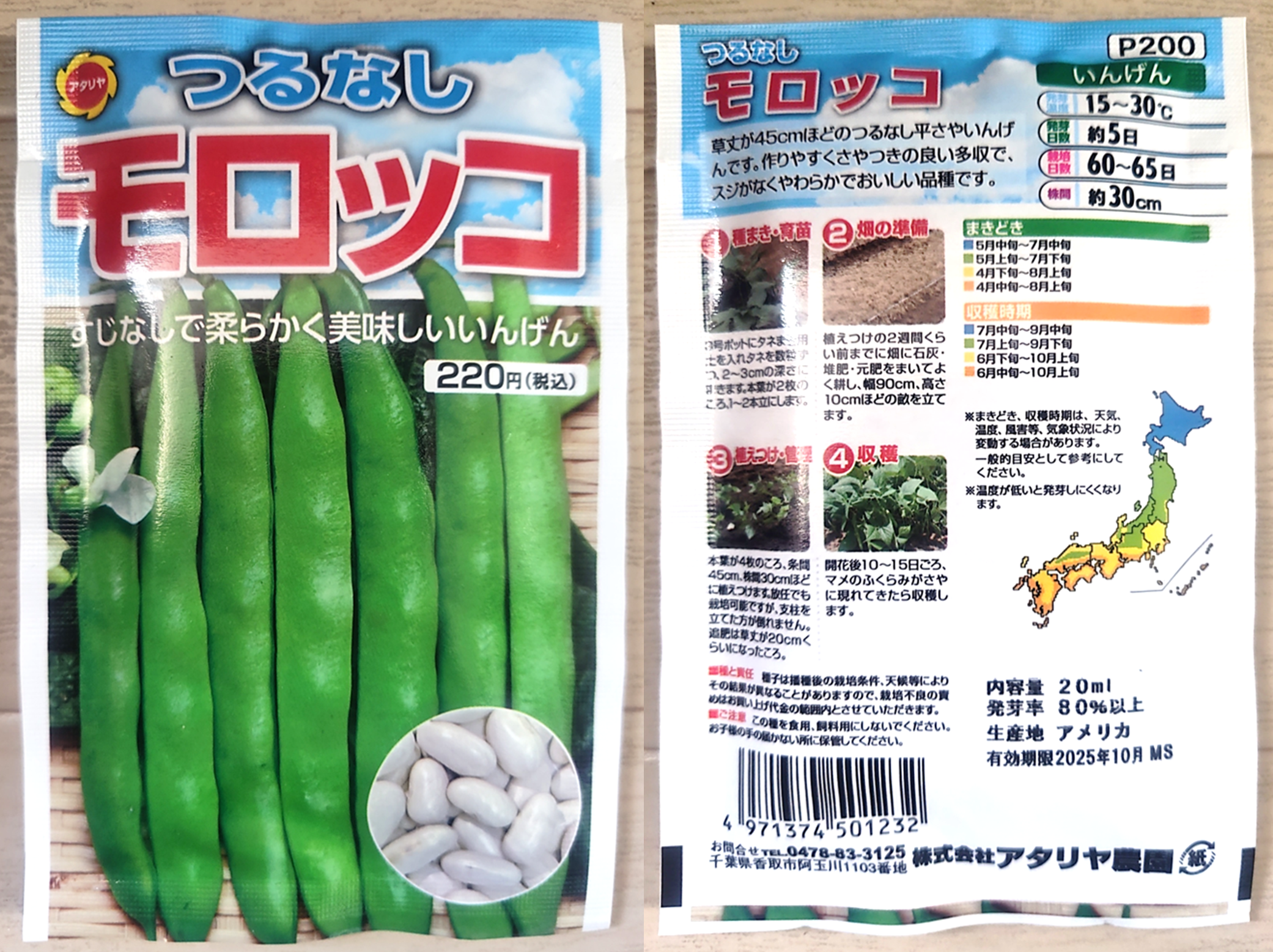 つるなしモロッコの種