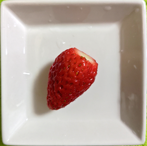 5/20 収穫した章姫