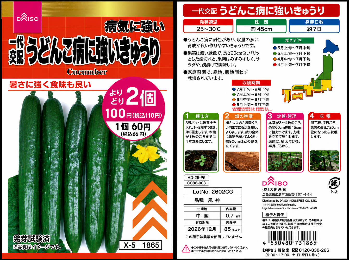 ダイソー『病気に強い一代交配うどんこ病に強いきゅうり』