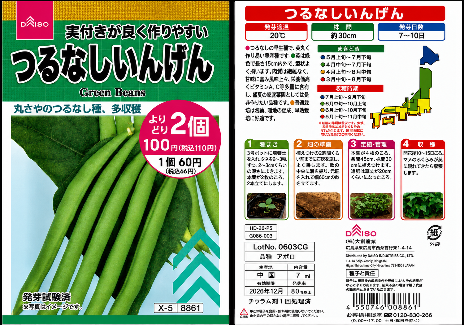つるなしインゲン（アポロ）の種袋